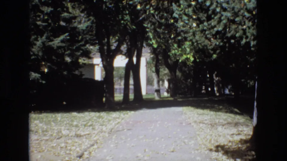 1974 Colorado Springs 8mm frame of a shaded pedestrian path, dense trees, scattered leaves, and a pale structure partly obscured in the distance.