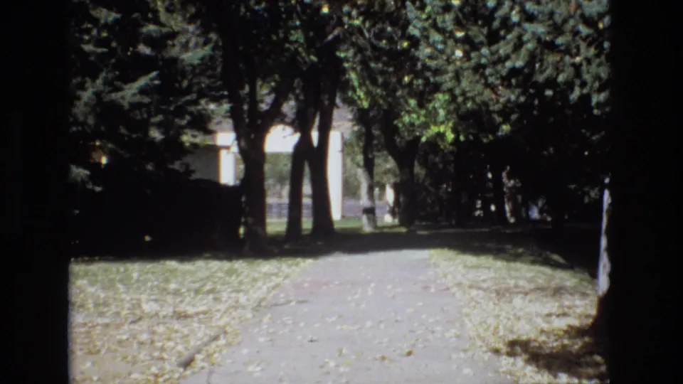 1974 Colorado Springs 8mm frame of the same quiet tree-lined walkway, with dappled light across the path and a pale building visible beyond the trunks.