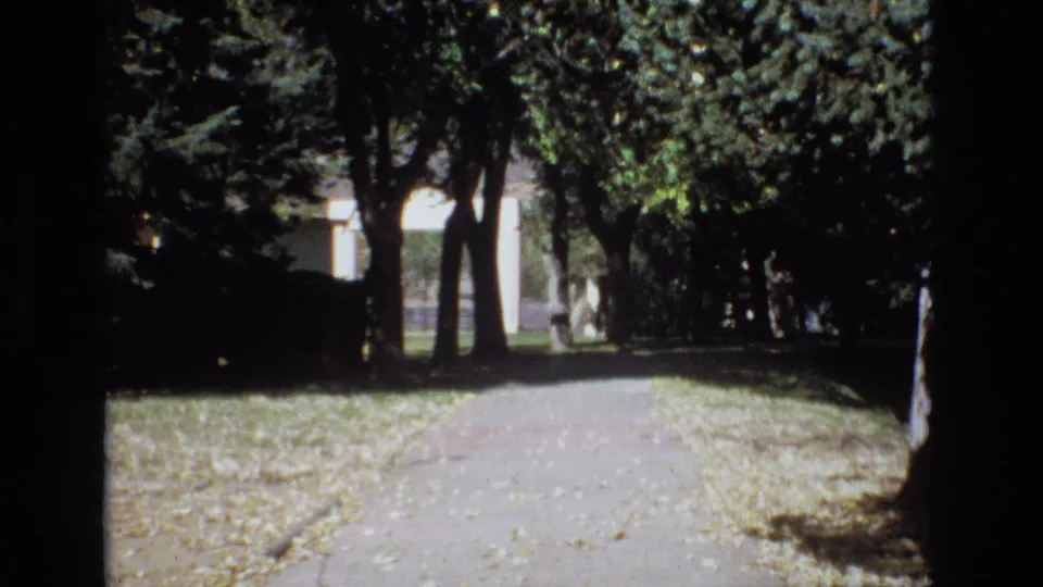 1974 Colorado Springs home-movie frame showing a shaded paved path beneath mature trees, with fallen leaves along the edges and a pale distant structure partly visible ahead.