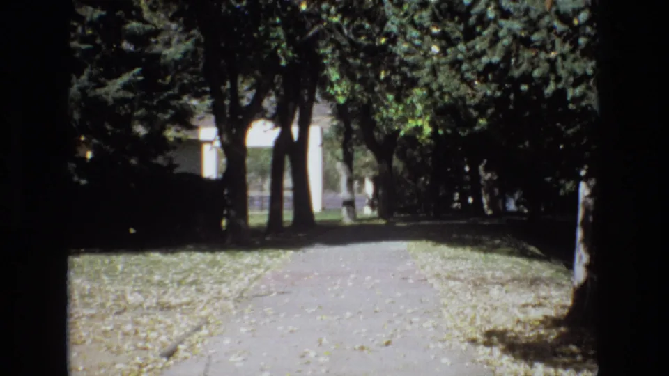 1974 Colorado Springs 8mm frame of a quiet tree-lined path, with dappled sunlight, leaf litter, and a partially obscured pale structure beyond the trees.