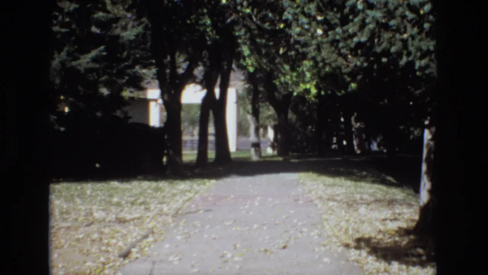 1974 Colorado Springs home-movie view along a shaded park or residential path, framed by dark tree trunks, fallen leaves, and a bright opening in the distance.