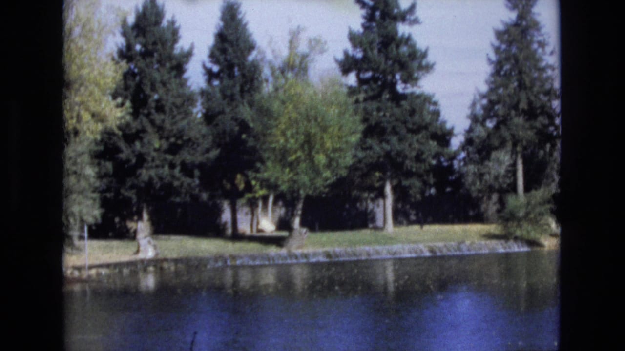 1974 Colorado Springs 8mm frame showing a calm pond, grassy bank, and tall evergreen trees with soft home-movie color and dark film edges.
