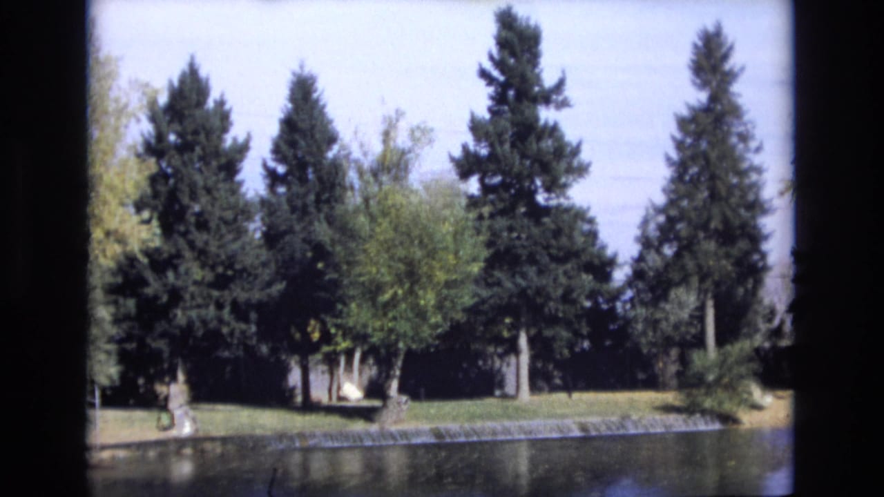 1974 Colorado Springs home-movie frame looking across still pond water toward a manicured bank with evergreen trees and green foliage.