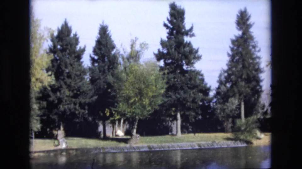 1974 Colorado Springs home-movie frame looking across still pond water toward a manicured bank with evergreen trees and green foliage.