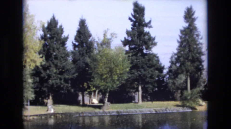 Soft 8mm frame from Colorado Springs in 1974 showing pond water in the foreground and a shaded line of evergreen trees along the far bank.