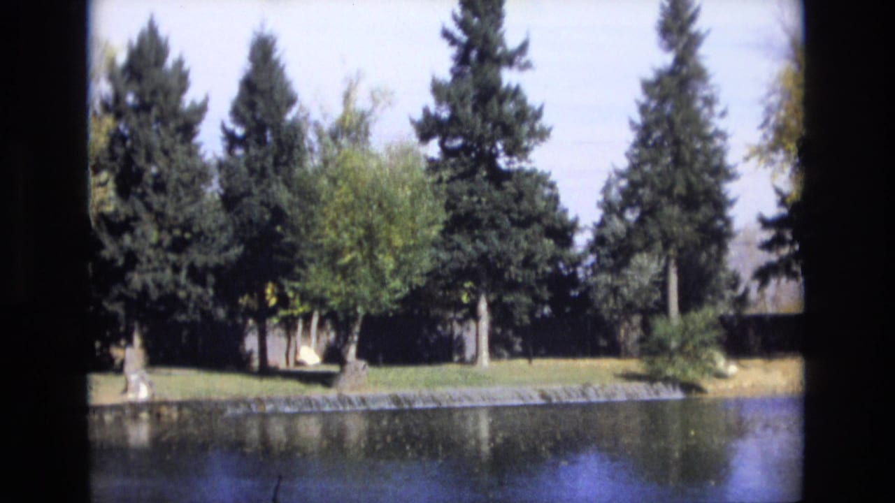 1974 Colorado Springs 8mm frame showing still lake water, a grassy bank, tall evergreens, and a small pale structure partly obscured by trees.