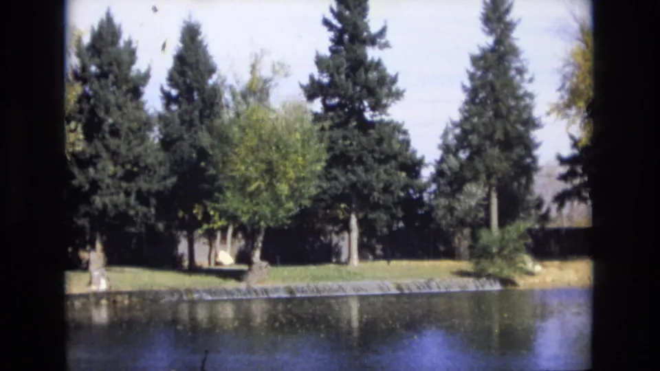 1974 Colorado Springs home-movie frame with a still lake in the foreground, a low shoreline edge, dense evergreens, and a small light structure set back among the trees.