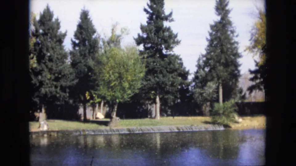1974 Colorado Springs 8mm frame looking across calm water toward a grassy bank, tall conifers, a smaller deciduous tree, and a partly hidden pale structure.