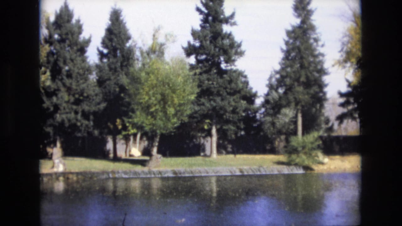 Tree-lined pond with a small spillway and reflected evergreens.