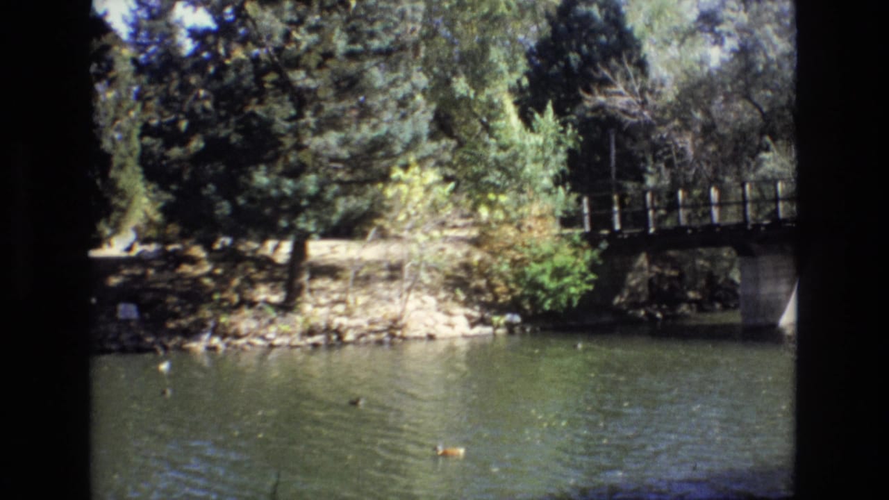 1974 Colorado Springs park view with ducks on a pond, a wooded shoreline, a dirt path, and part of a small bridge at the right edge.