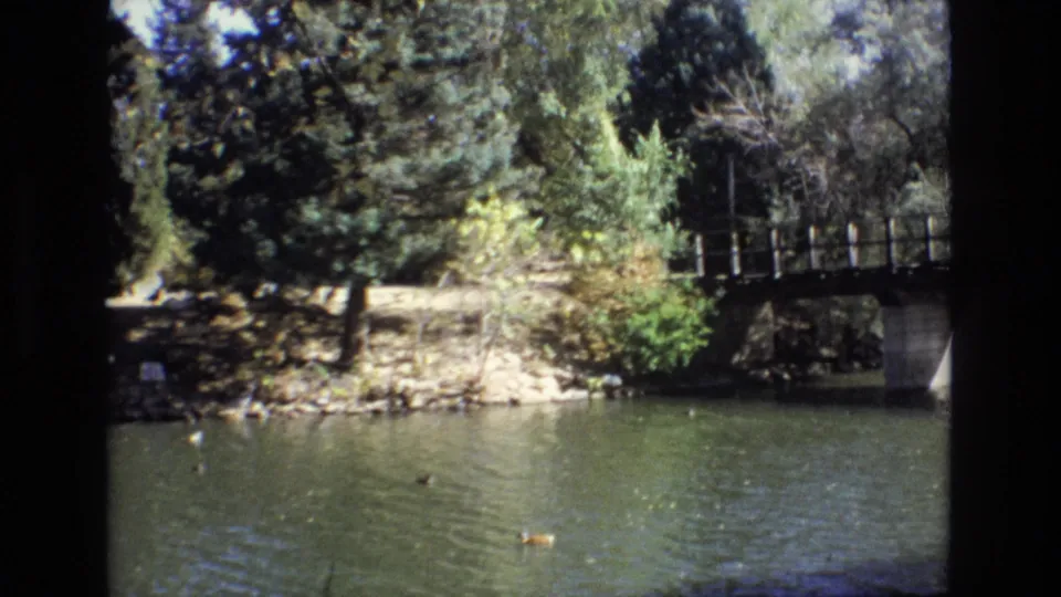 1974 Colorado Springs park view with ducks on a pond, a wooded shoreline, a dirt path, and part of a small bridge at the right edge.