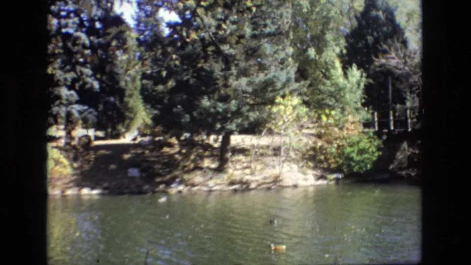 1974 Colorado Springs 8mm frame showing a pond shoreline with trees, a sunlit path, ducks on the water, and part of a footbridge in the background.