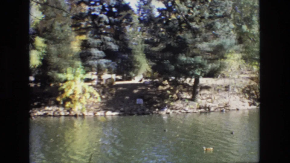 1974 Colorado Springs park footage frame showing ducks on a pond, rippled water, evergreen trees, rocks, and a sunlit dirt path along the shore.