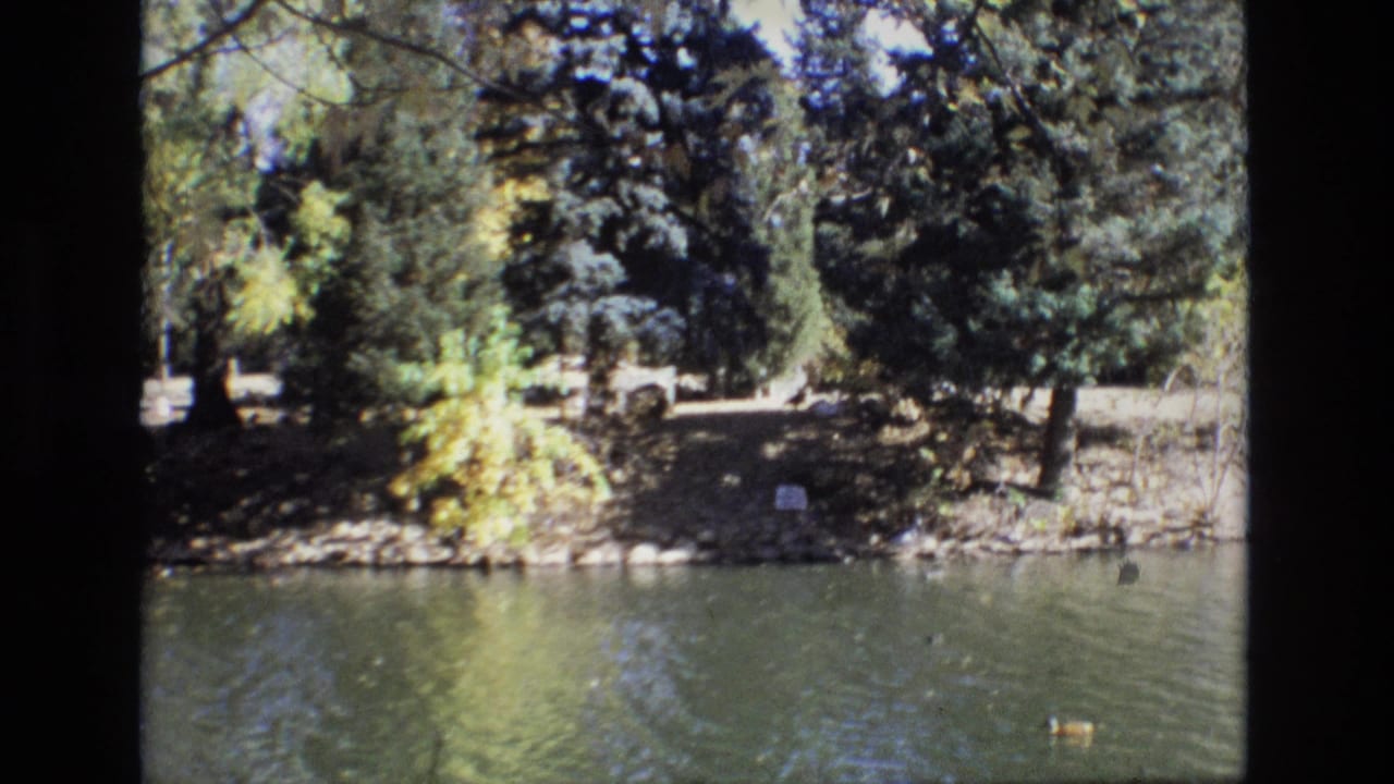 1974 Colorado Springs 8mm frame showing ducks on a calm body of water with trees, rocks, and a small pale marker along the opposite bank.