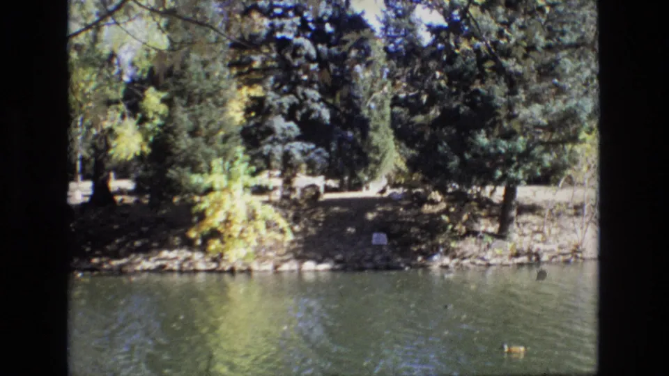 1974 Colorado Springs 8mm frame showing ducks on a calm body of water with trees, rocks, and a small pale marker along the opposite bank.