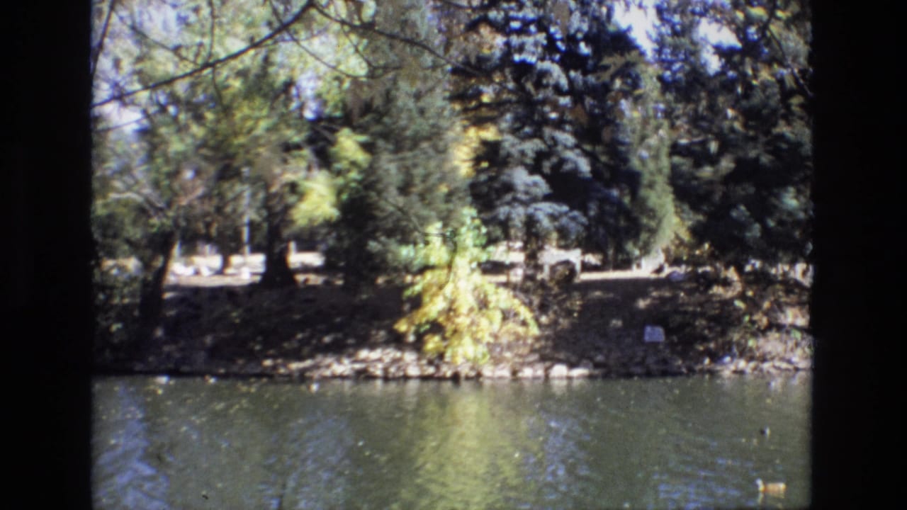 1974 Colorado Springs 8mm frame with ducks moving across rippled water in front of a wooded bank with mixed foliage and shoreline rocks.