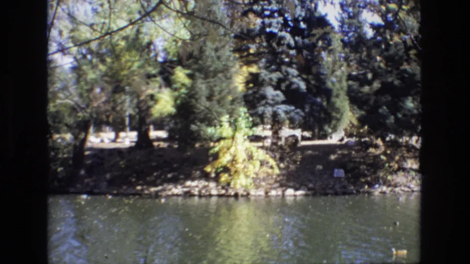 1974 Colorado Springs 8mm frame with ducks moving across rippled water in front of a wooded bank with mixed foliage and shoreline rocks.