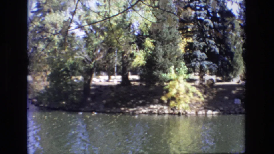 1974 Colorado Springs 8mm frame looking across water toward a shaded bank with dense trees, a yellow shrub, rocks, and small ducks near the surface.