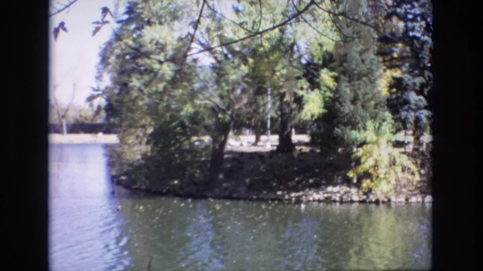 1974 Colorado Springs 8mm frame showing a wider view of rippling water, ducks, overhanging branches, and a tree-covered bank in natural daylight.