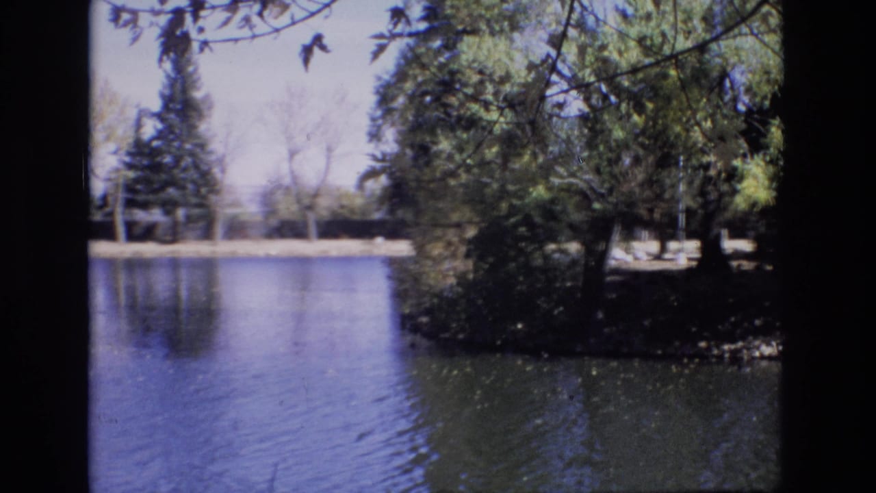 Lake surface with trees, a small wooded point, and shoreline beyond.