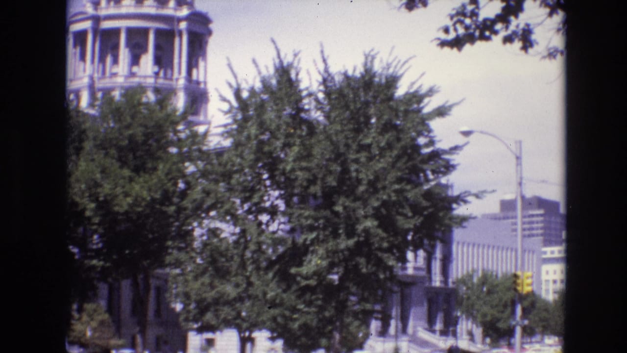 Tree-lined city view with domed building, streetlight, traffic signal, and office towers.