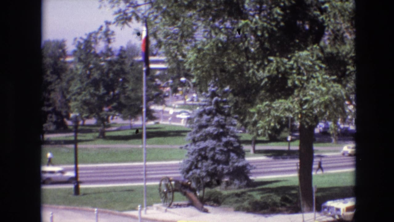 Park cannon near a flagpole, trees, lawn, and a road with cars.