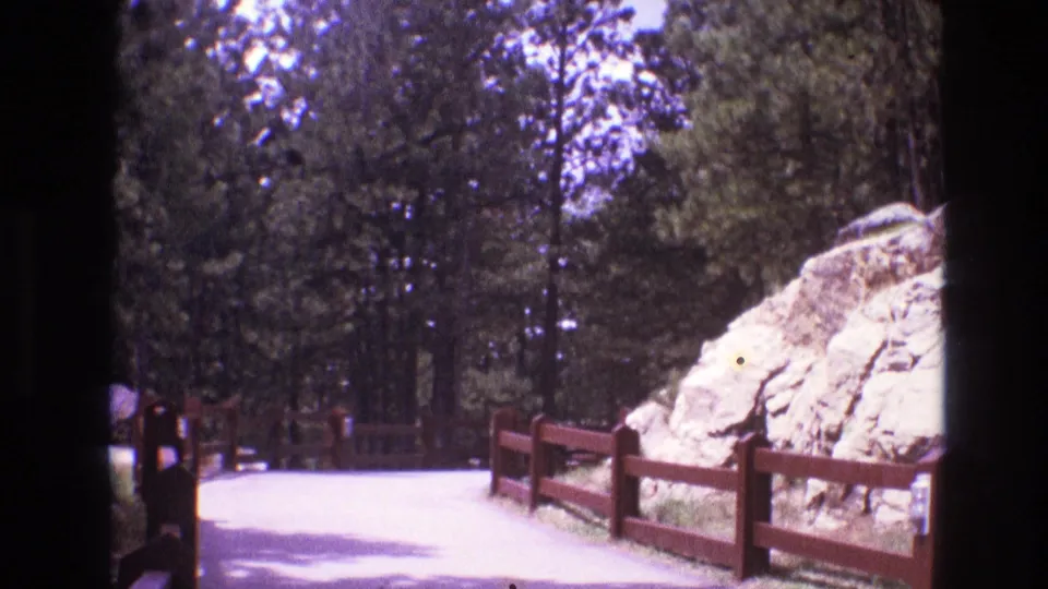 1974 South Dakota park path with wooden fencing, dense pine trees, and a pale rock formation along the edge of the walkway.