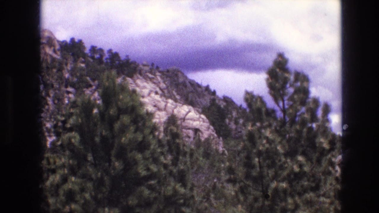Evergreen trees and pale rock face beneath layered clouds.