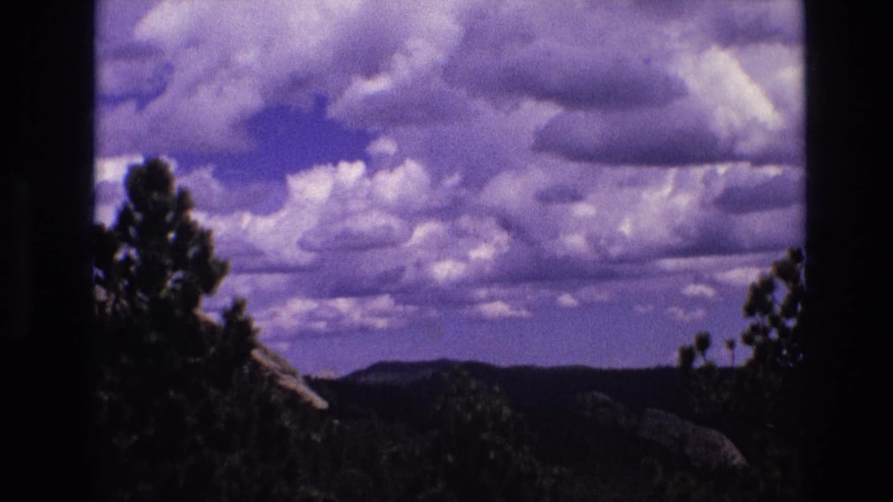 Dark pine silhouette against clouds and low hills.
