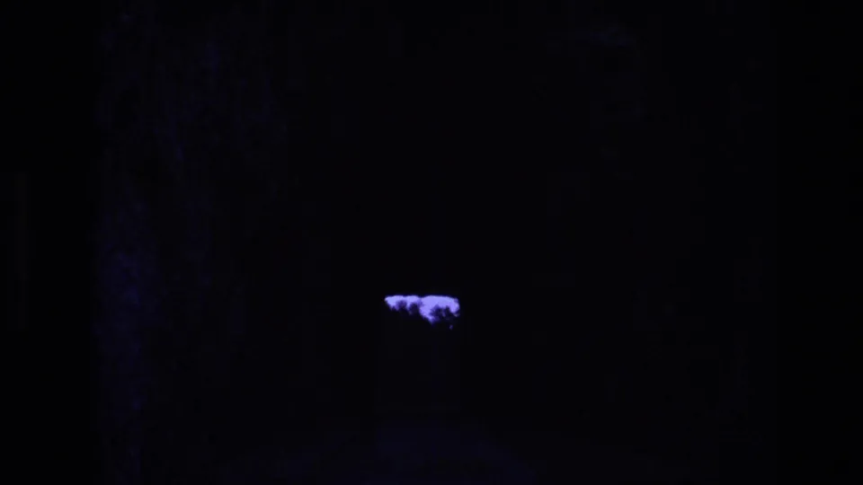 Very dark final 8mm frame from the 1974 South Dakota clip, showing only a small pale glow against an otherwise underexposed scene.