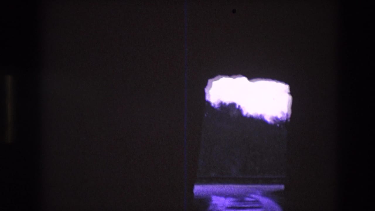 Shadowed cave-like frame with bright sky, dark trees, and purple reflection below.