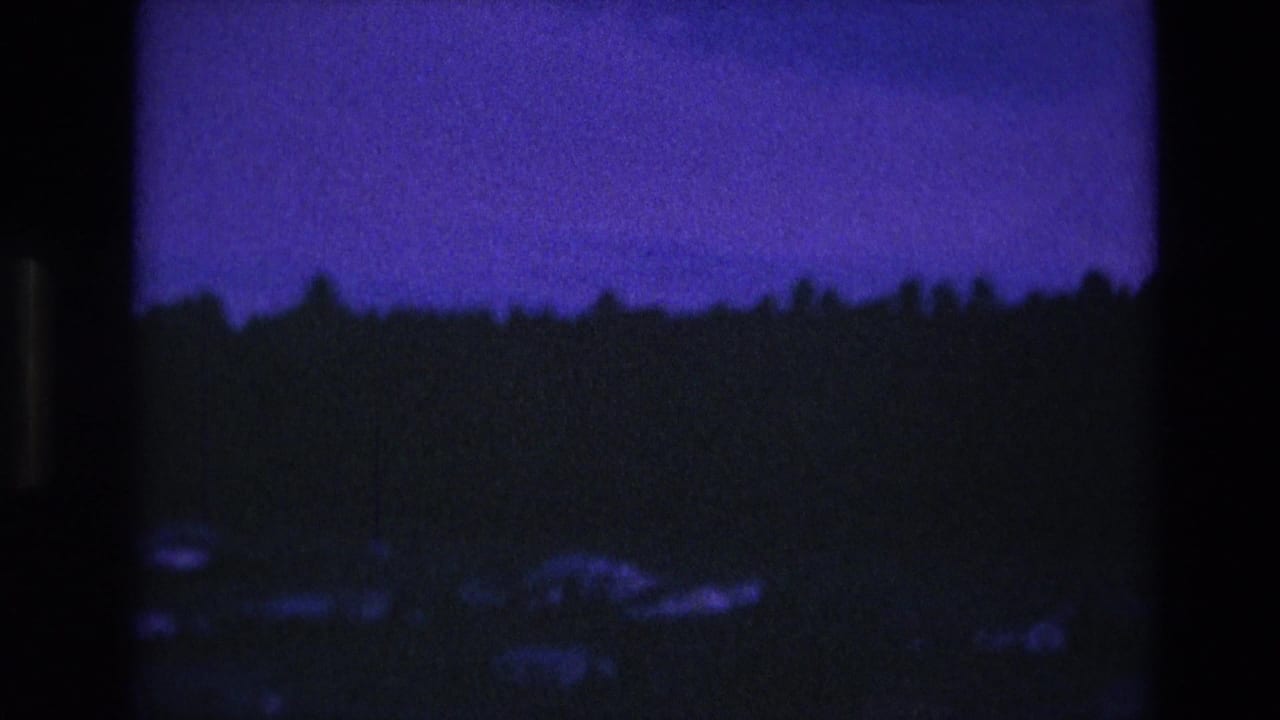 Dark treeline beneath a purple sky with faint landscape detail.