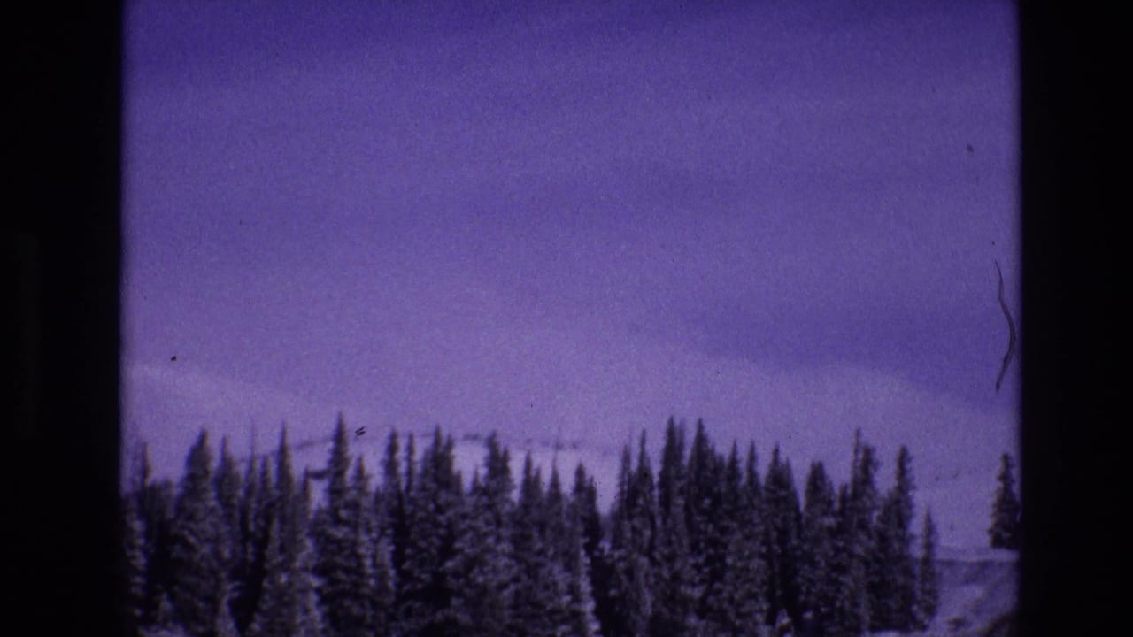 1974 Vail, Colorado 8mm frame with snow-laden evergreen trees across a distant mountain slope, seen through purple color fading and heavy gate-edge shadow.