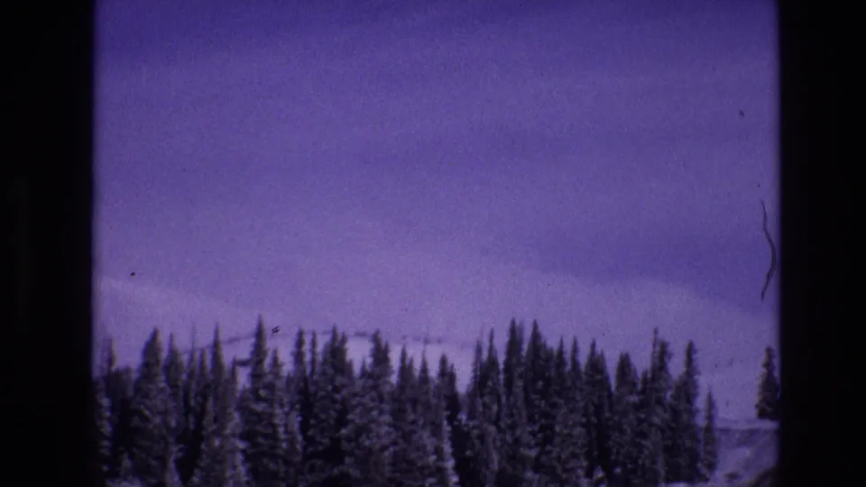 1974 Vail, Colorado 8mm frame with snow-laden evergreen trees across a distant mountain slope, seen through purple color fading and heavy gate-edge shadow.