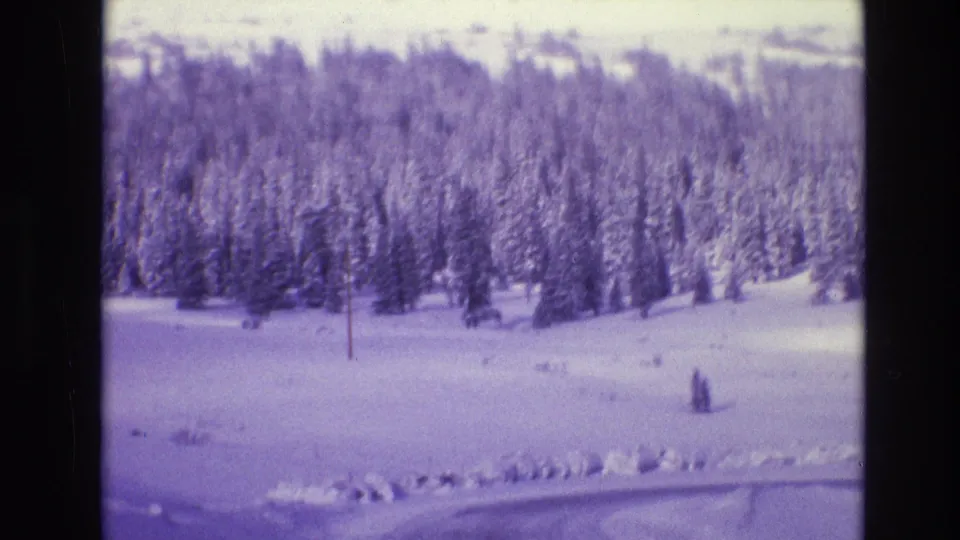 1974 Vail, Colorado 8mm frame showing a snow-covered evergreen slope, open snowfield, roadside snowbank, and purple-blue winter film cast.