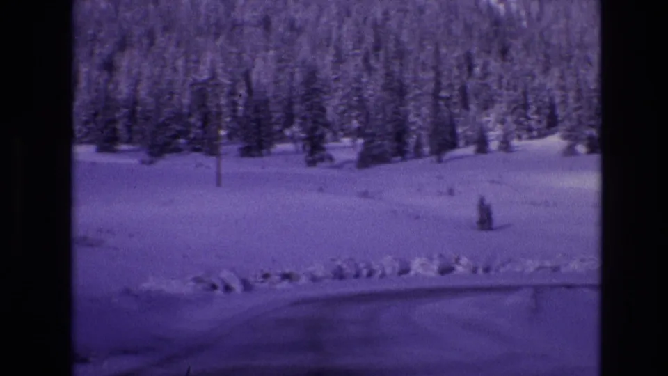1974 Vail, Colorado 8mm frame with dense snow-covered evergreens, rolling snowfield, roadside snow ridge, and a small conifer in the foreground.