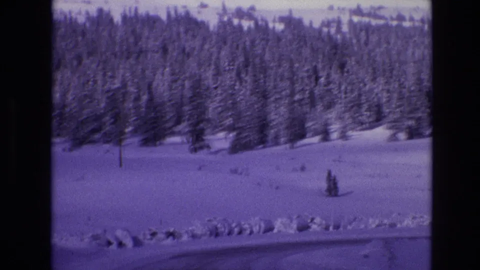 1974 Vail, Colorado 8mm frame showing a snowy evergreen stand, a small foreground conifer, open snow cover, and soft motion blur from a moving vehicle.