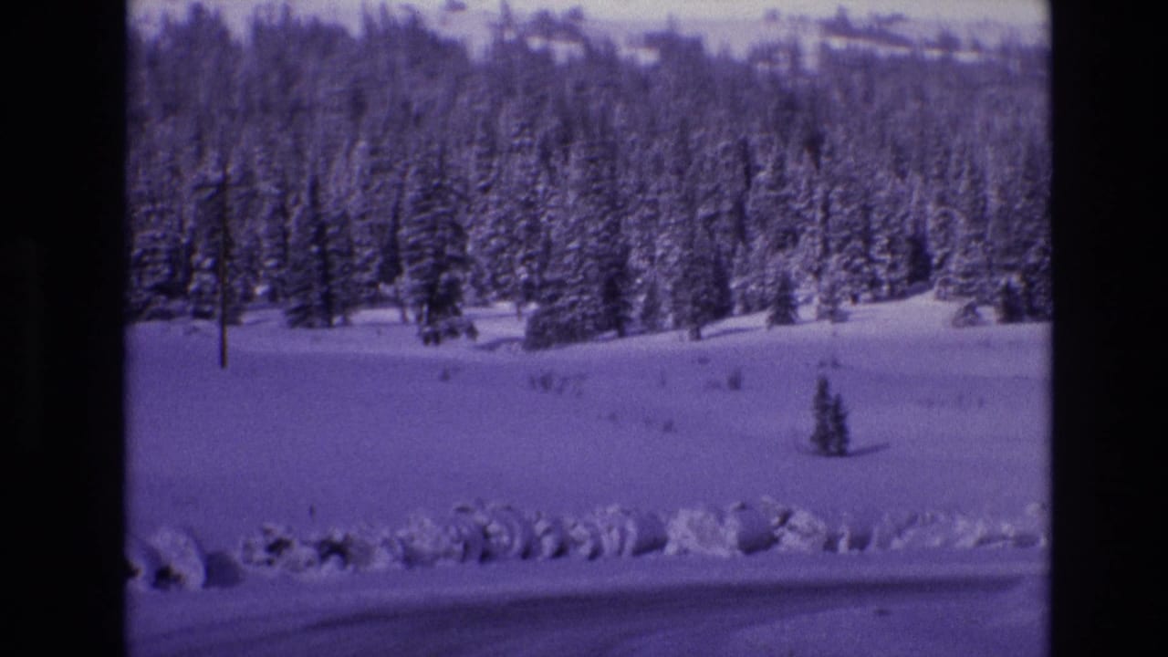1974 Vail, Colorado 8mm frame showing snowy pines across an open snowfield, with a roadside snowbank and dark road edge in the foreground.