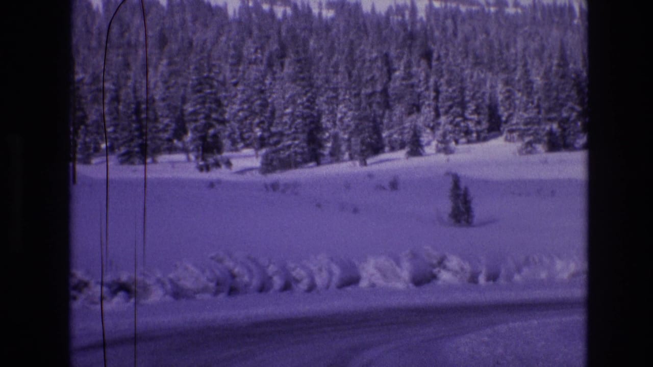 1974 Vail, Colorado 8mm frame with a snow-covered pine forest, low roadside snowbank, open white slope, and dark film-scan divider at the left.
