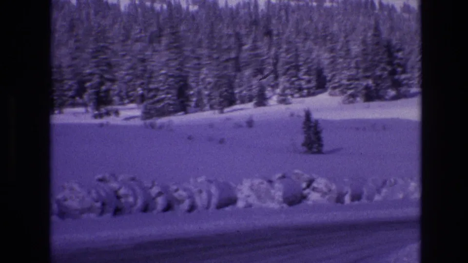 1974 Vail, Colorado home-movie frame showing a plowed roadside edge, uneven snowbank, open snowfield, and dense pines under a purple-tinted film cast.
