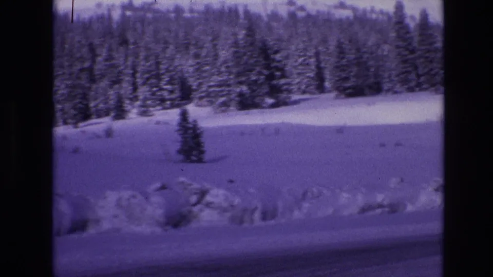 1974 Vail, Colorado 8mm frame centered on a small pine in a snowfield, with a roadside snowbank and snow-covered forest behind it.