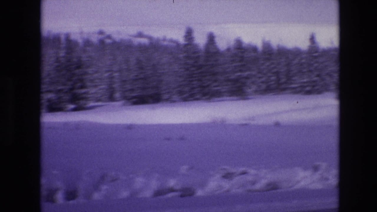 1974 Vail, Colorado home-movie frame showing snow-covered ground and a distant evergreen tree line with visible 8mm film softness and purple color cast.