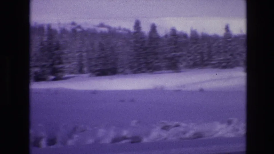 1974 Vail, Colorado home-movie frame showing snow-covered ground and a distant evergreen tree line with visible 8mm film softness and purple color cast.