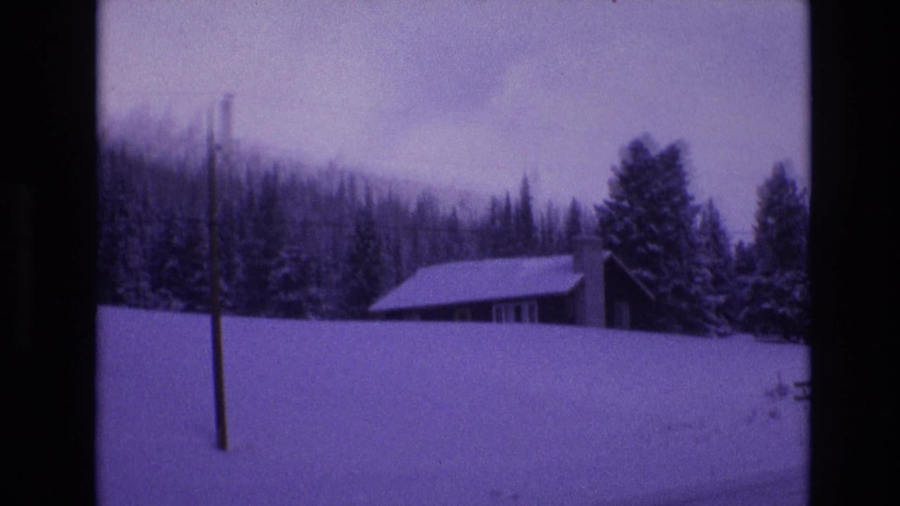 Snow-covered cabin below trees with a utility pole in the foreground.