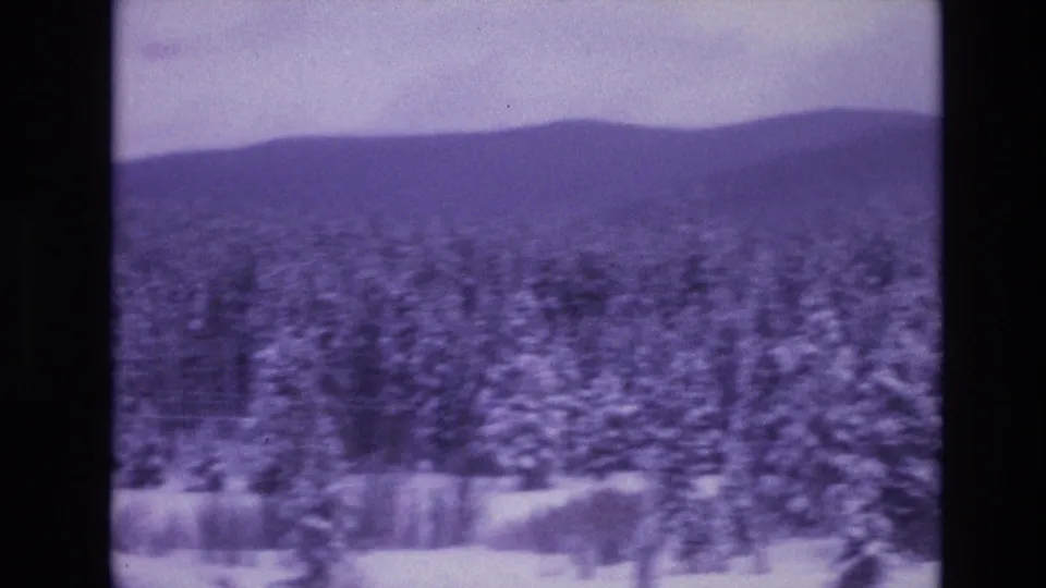 Wide purple-tinted 8mm view of snowy evergreens, open snowbanks, and layered mountain ridges in the Colorado winter landscape.
