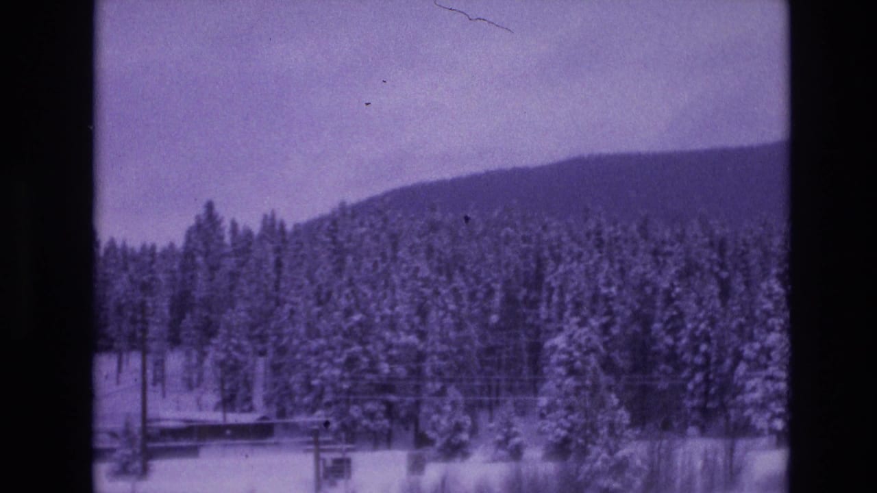 Vail, Colorado winter landscape in 1974 metadata, with snowy evergreens, a low mountain slope, and dark frame edges from 8mm home-movie film.