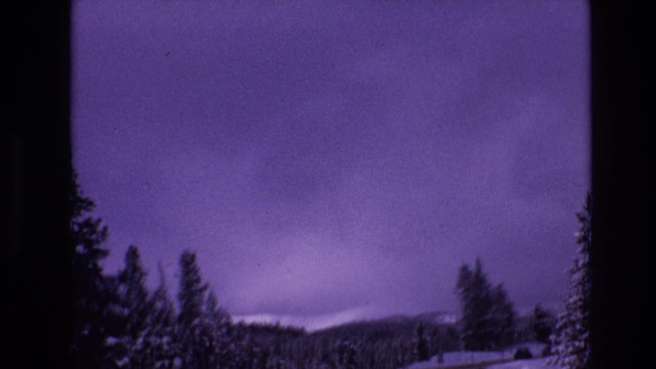 Snowy evergreen landscape with a road edge and distant hills beneath a purple sky.