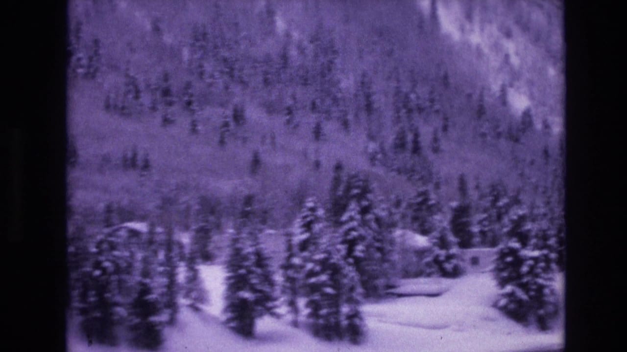 1974 8mm home-movie frame from the Vail, Colorado area showing snow-covered evergreens and a mountain slope through a soft purple-blue film cast.