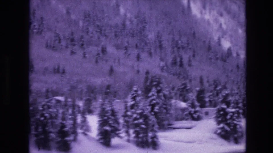1974 8mm home-movie frame from the Vail, Colorado area showing snow-covered evergreens and a mountain slope through a soft purple-blue film cast.