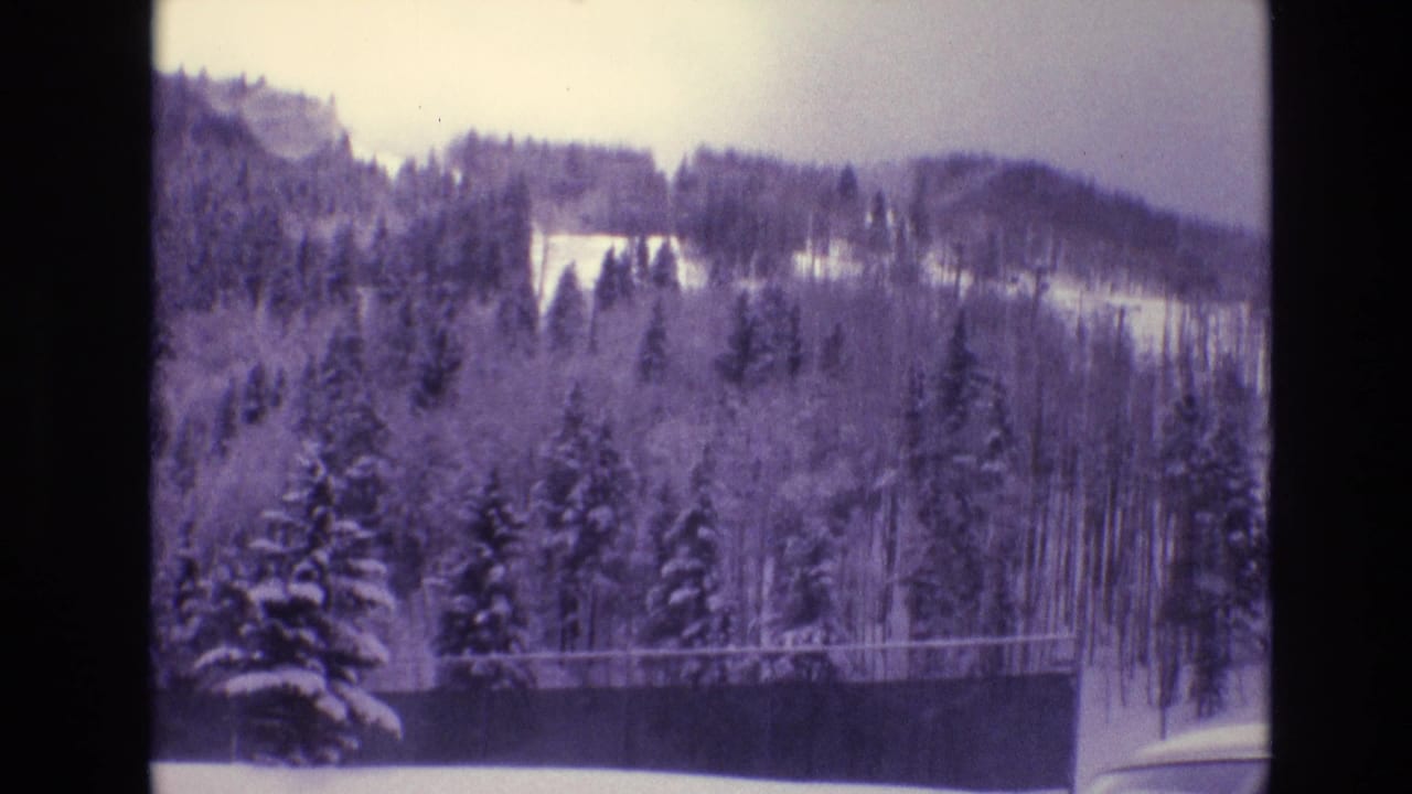 Snowy evergreen forest below a wooded mountain ridge.